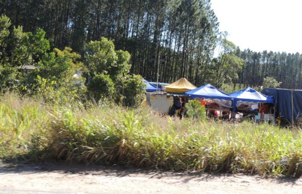 Mais de 70 tecnicos trabalham dia e noite para limpar o solo atingido por vazamento de petroleo 3