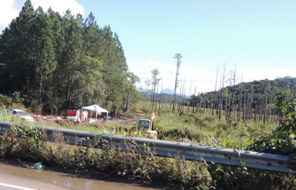 Mais de 70 tecnicos trabalham dia e noite para limpar o solo atingido por vazamento de petroleo 6