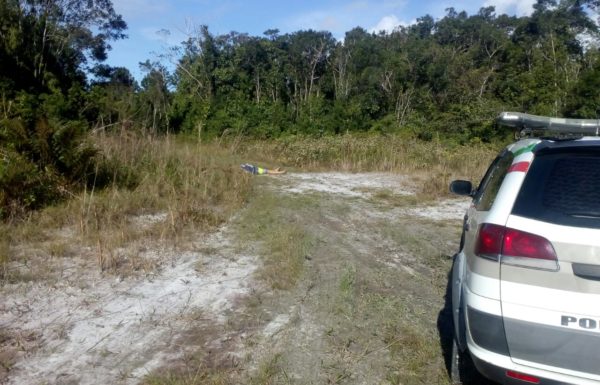 Corpo de vitima de homicidio encontrado na Estrada da Jaca em Itapoa