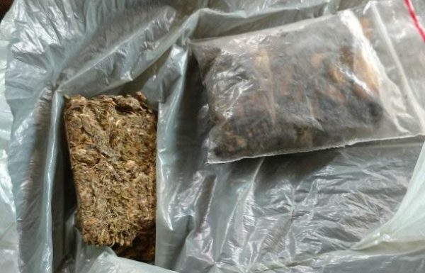 PM de Mandado de busca em residencia no Samabaial em Itapoa 1