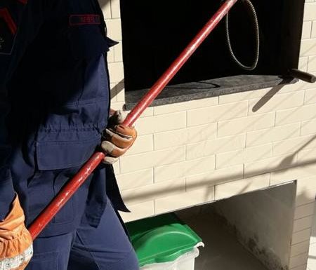 Raposa resgatada pelos bombeiros de Itapoa dentro de churrasqueira de residencia 1