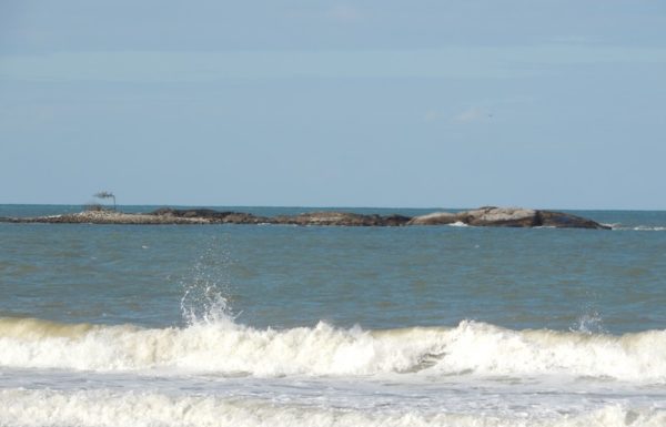 2o Encontro de Antigos de Itapoa contabiliza mais de 300 veiculos expostos 80