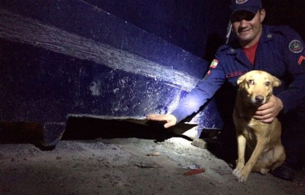 bombeiros de itapoa resgatam cao em perigo na noite desse sabado dia 19 de agosto 04