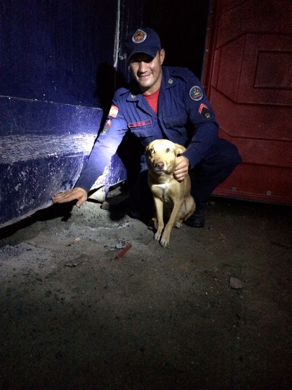 bombeiros de itapoa resgatam cao em perigo na noite desse sabado dia 19 de agosto 05