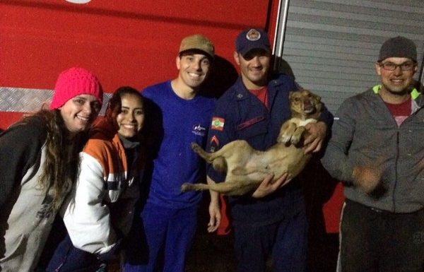 bombeiros de itapoa resgatam cao em perigo na noite desse sabado dia 19 de agosto 08