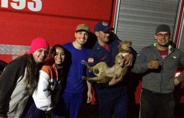 bombeiros de itapoa resgatam cao em perigo na noite desse sabado dia 19 de agosto 13