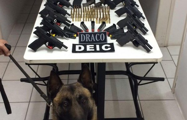 apreensao_de_armas_e_municao_20170927_1991781418