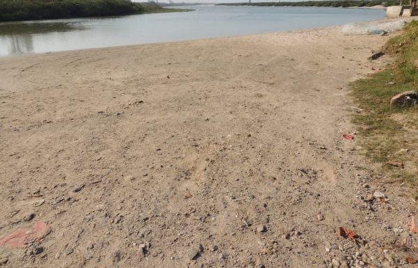 assoreamento do rio sai mirim continua preocupando comunidade pesqueira da barra 1