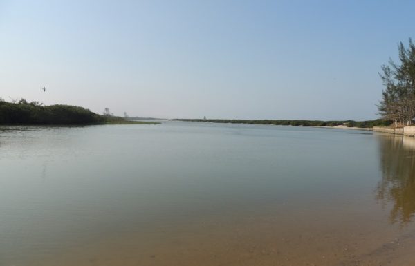 assoreamento do rio sai mirim continua preocupando comunidade pesqueira da barra 3