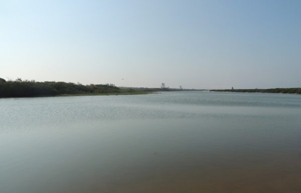 assoreamento do rio sai mirim continua preocupando comunidade pesqueira da barra 4