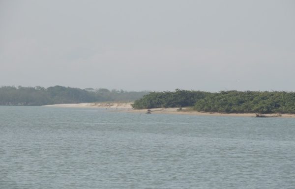assoreamento do rio sai mirim continua preocupando comunidade pesqueira da barra 6