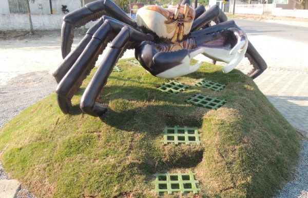 caranguejo gigante produzido por artesao chama a atencao de quem visita a Barra do Sai 1