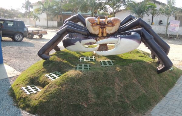 caranguejo gigante produzido por artesao chama a atencao de quem visita a Barra do Sai 3