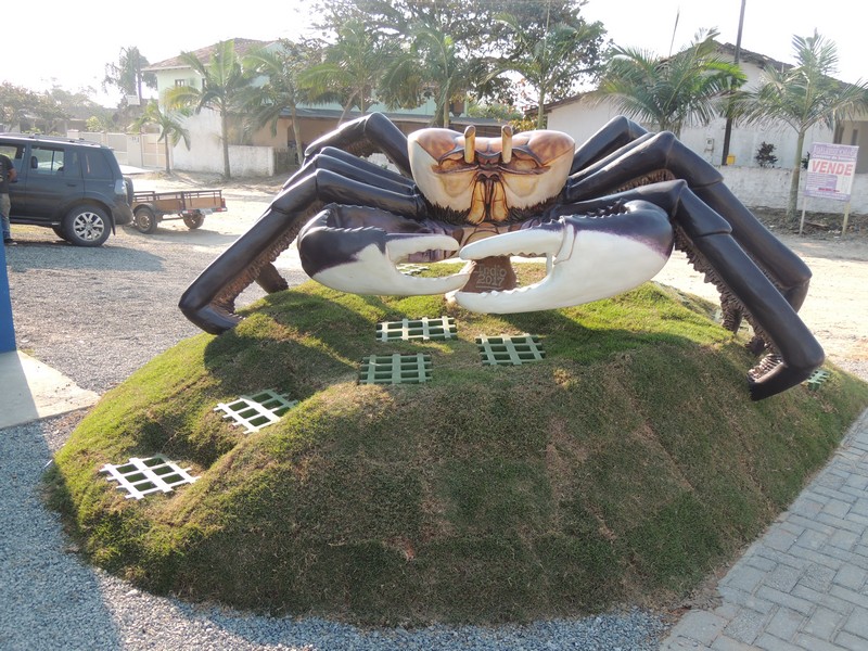 caranguejo gigante produzido por artesao chama a atencao de quem visita a Barra do Sai 3