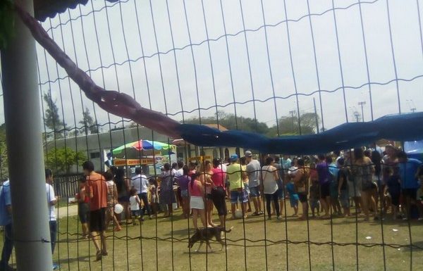 Evento Brincando e Sonhando no Samambaial foi um sucesso nesse Dia das Criancas 11