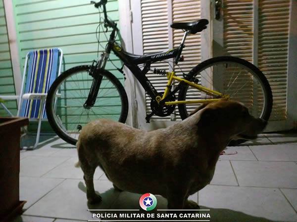 Homem e preso pela PM apos cao de estimacao alertar sobre furto a residencia 2