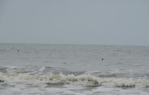 Seletiva curso guarda-vidas civis de Itapoa para a temporada 2017-2018 10