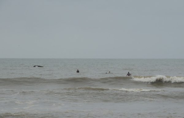 Seletiva curso guarda-vidas civis de Itapoa para a temporada 2017-2018 19