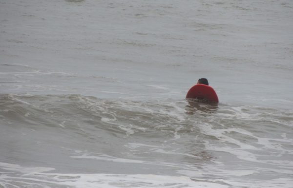 Seletiva curso guarda-vidas civis de Itapoa para a temporada 2017-2018 26