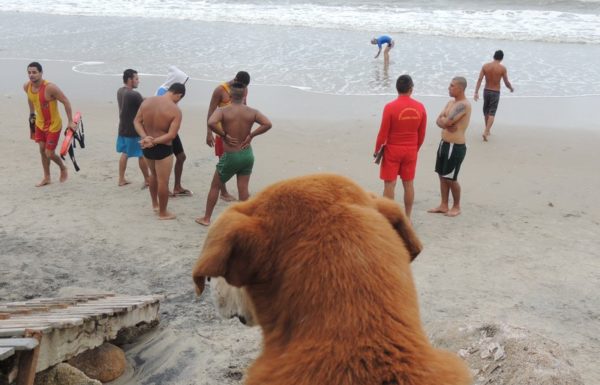 Seletiva curso guarda-vidas civis de Itapoa para a temporada 2017-2018 50