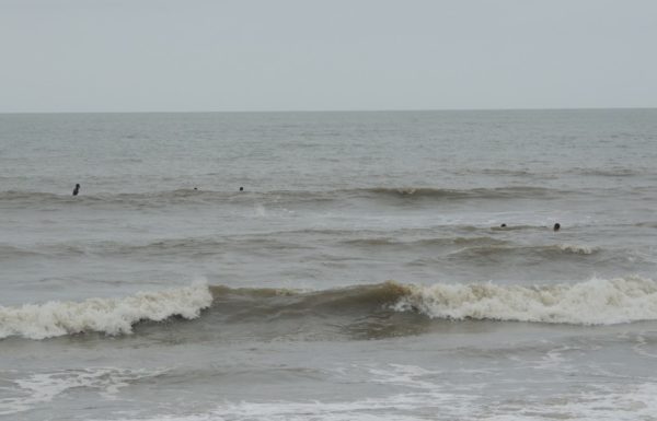 Seletiva curso guarda-vidas civis de Itapoa para a temporada 2017-2018 51
