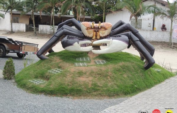 Artes em concreto seguem encantando moradores e visitantes de Itapoa 1