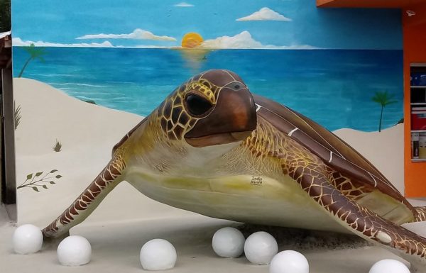 Artes em concreto seguem encantando moradores e visitantes de Itapoa 2