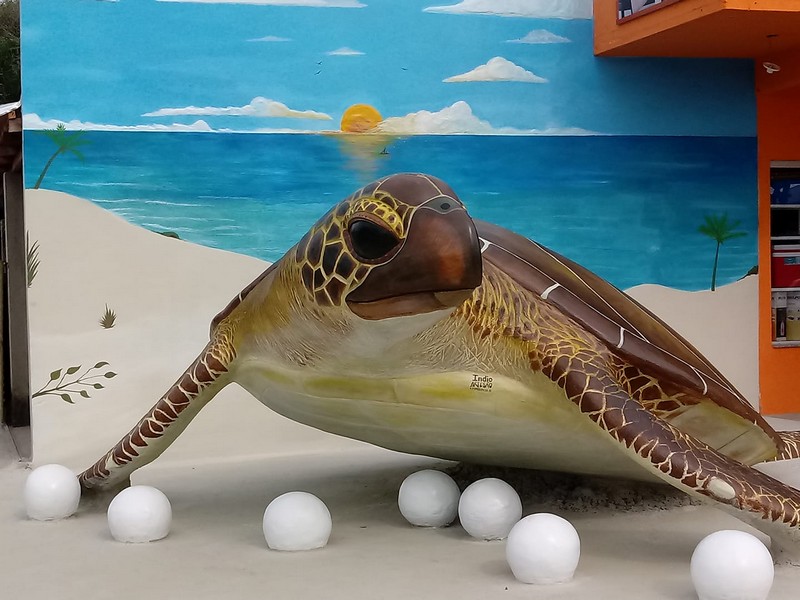 Artes em concreto seguem encantando moradores e visitantes de Itapoa 2