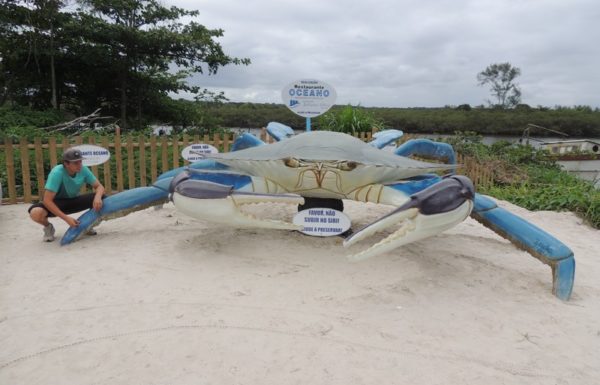 Artes em concreto seguem encantando moradores e visitantes de Itapoa 3