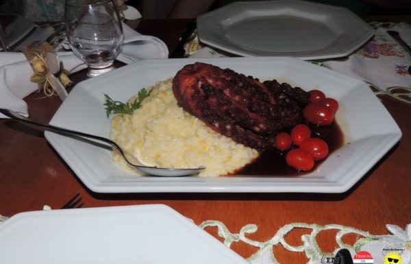 Recanto do Farol comemora cinco anos de atividades em grande estilo 24