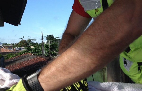 Bombeiros de Itapoa resgatam gata que se acidentou em vergalhao de construcao 04