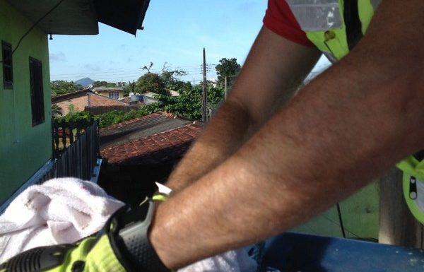 Bombeiros de Itapoa resgatam gata que se acidentou em vergalhao de construcao 05