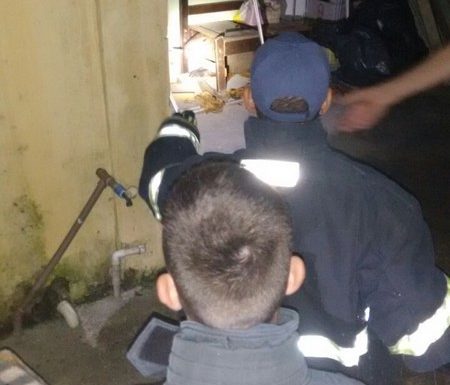 Bombeiros de Itapoa capturam capivara em perigo e a devolvem ao seu habitat natural 08