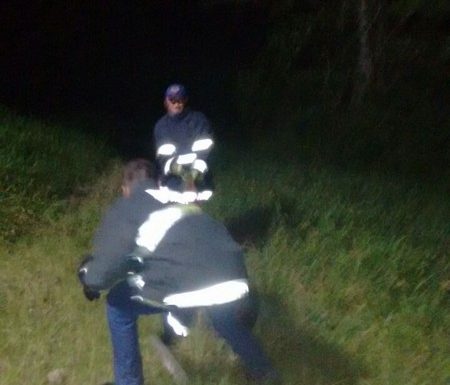 Bombeiros de Itapoa capturam capivara em perigo e a devolvem ao seu habitat natural 09