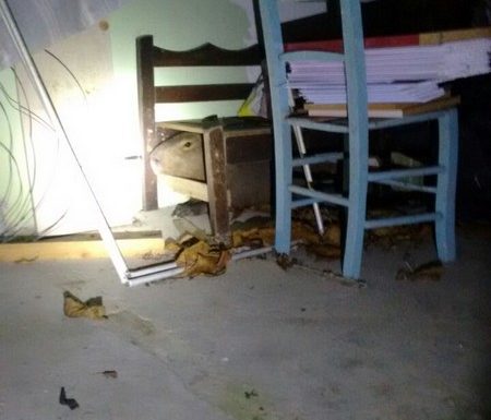 Bombeiros de Itapoa capturam capivara em perigo e a devolvem ao seu habitat natural 13