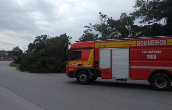 Bombeiros de Itapoa realizam corte de arvore sobre rodovia e atendimento pre-hospitalar 1