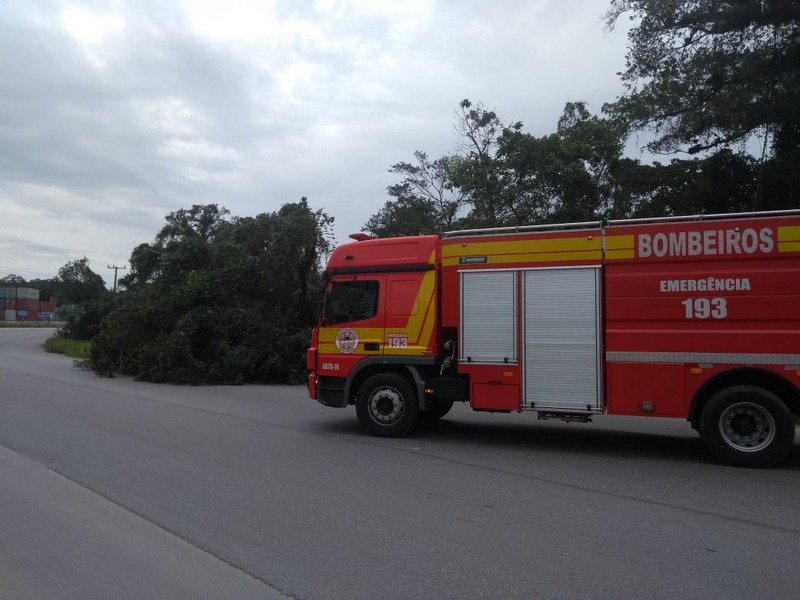 Bombeiros de Itapoa realizam corte de arvore sobre rodovia e atendimento pre-hospitalar 1