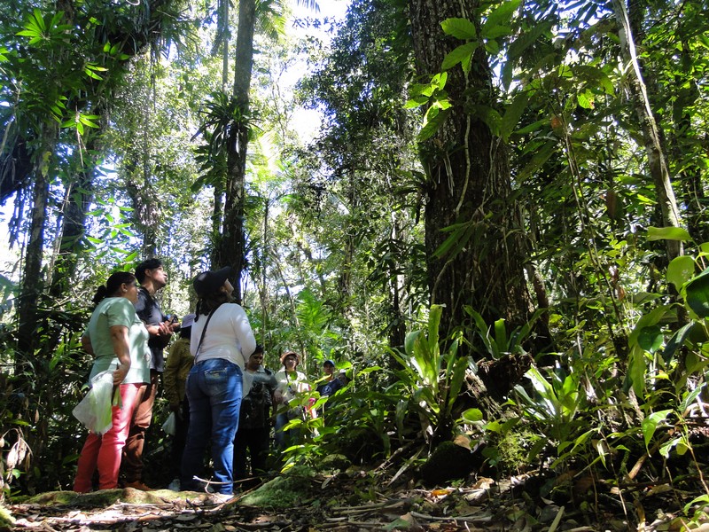 Projeto Sempre Verde, do Porto Itapoa, promove visitas a Reserva Volta Velha 1