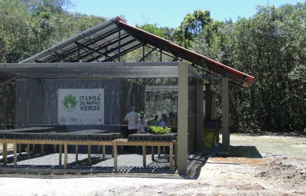 Projeto Sempre Verde, do Porto Itapoa, promove visitas a Reserva Volta Velha 2