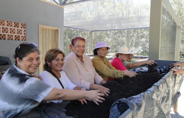 Projeto Sempre Verde, do Porto Itapoa, promove visitas a Reserva Volta Velha 3