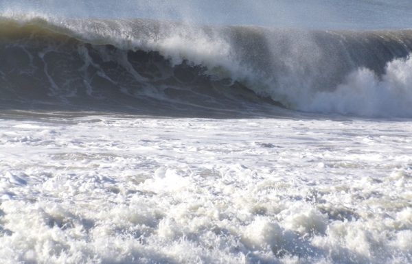 Itapoa e Garuva registram menos de 10°C na manha gelada desta segunda-feira, 21 de maio 6