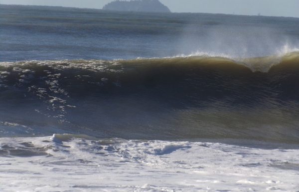 Itapoa e Garuva registram menos de 10°C na manha gelada desta segunda-feira, 21 de maio 7