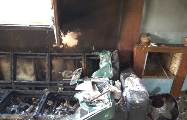 WhatsApp Image 2018-07-07 at 16.09.38