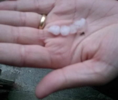 intensa chuva de granizo quebra telhas em Itapoa e bombeiros auxiliam na distribuicao de lonas 02