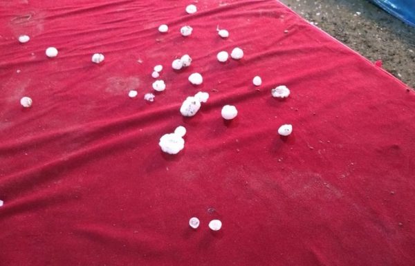 intensa chuva de granizo quebra telhas em Itapoa e bombeiros auxiliam na distribuicao de lonas 11