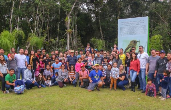 itapoa saneamento fecha mes dedicado ao meio ambiente com plantio de arvores