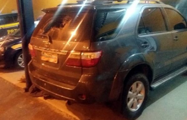 Policias Rodoviaria Federal e Militar de Garuva apreendem quase 500 quilos de maconha 3