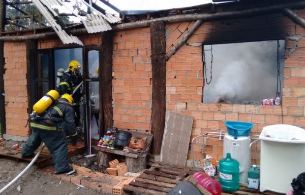 Dois filhotes de cachorro sao resgatados de ineêndio a residencia, pelos bombeiros de Itapoa 03