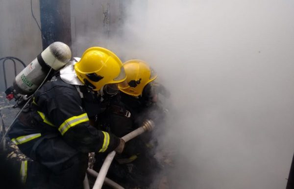 Dois filhotes de cachorro sao resgatados de ineêndio a residencia, pelos bombeiros de Itapoa 04