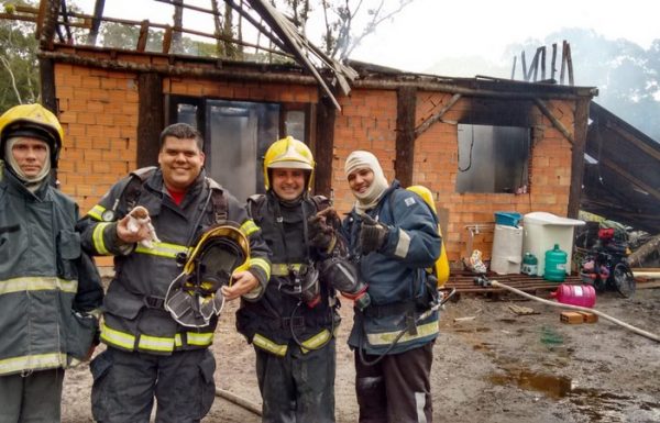 Dois filhotes de cachorro sao resgatados de ineêndio a residencia, pelos bombeiros de Itapoa 05